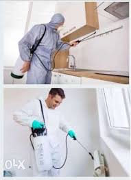 شركه مكافحه الفئران بالخبر شركه مكافحه الفئران بالخبر